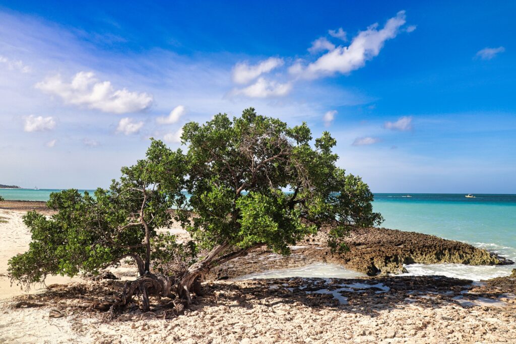Aruba